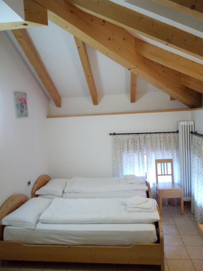 Taxus Hostel Pieve Tesino エクステリア 写真